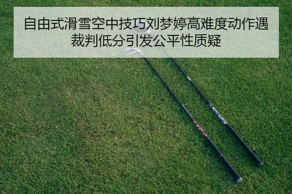 zi-you-shi-hua-xue-kong-zhong-ji-qiao-liu-meng-ting-gao-nan-du-dong-zuo-yu-cai-pan-di-fen-yin-fa-gong-ping-xing-zhi-yi-2-581.jpg